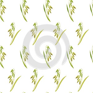 Botanical seamless background. Pattern of ears of oats on white background. Texture from cereal plants for design of