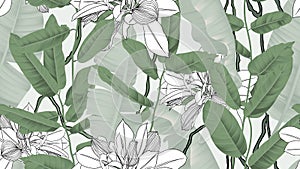 Botanical seamless pattern, banana leaves, vines and other leaves on light green