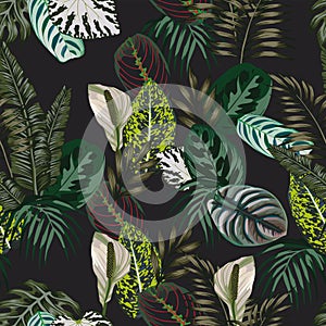 Botanical seamless pattern black background