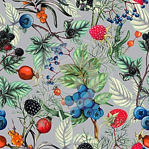 Botanical seamless pattern of  hand drawn berries,Autumn seamless pattern