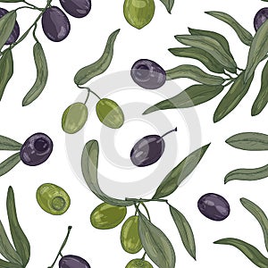 Botanical seamless pattern with organic olive tree branches, leaves, black and green ripe fruits or drupes on white