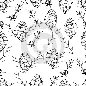 Botanical seamless pattern in vintage style. Various leaves of ferns, cones, horsetail, calamus, sow thistle, wheat grass, holly.