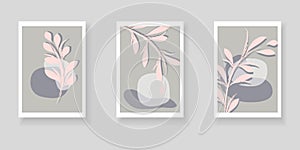 Botanical set backgrounds with organic shapes and twigs.