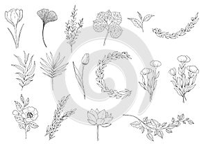 Botanical set of black and white graphic flowers. Floral elements for creating logos and wedding decorations.