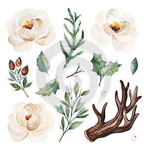 Botanical set with leaves,branches,horn,berries,conifer,white roses.
