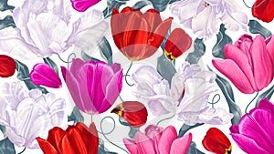 Botanical spring background with tulips. White, pink, red vector flowers.