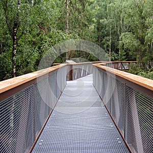 Botanical trail through the trees, a new interesting place park