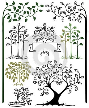Botanical Tree Set/eps