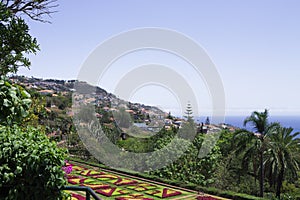 Botanical and tropical garden panoramic view with flowers and palms Funchal,Madeira,Portugal