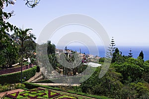 Botanical and tropical garden panoramic view with flowers and palms Funchal,Madeira,Portugal