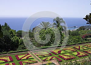 Botanical and tropical garden panoramic view with flowers and palms Funchal,Madeira,Portugal