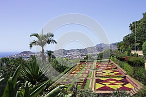 Botanical and tropical garden panoramic view with flowers and palms Funchal,Madeira,Portugal
