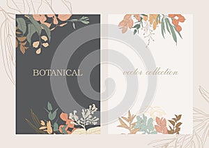 Botanical vector collection