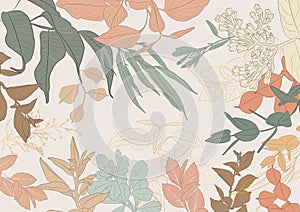 Botanical vector collection