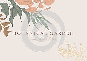 Botanical vector collection