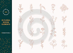 Botanical Vector Linear Illustration Bundle For Logo Design Isolated On Background