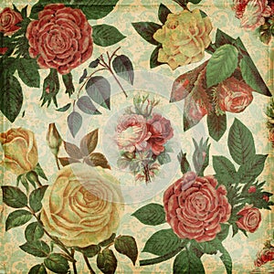 Botanical vintage roses shabby chic background