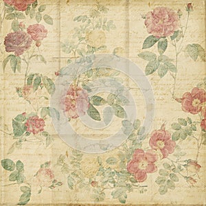 Botanical vintage roses shabby chic background