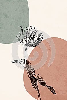 Botanical wall art. Line art of plants, drawing with abstract shape. Abstract  design for framed wall prints, canvas prints,