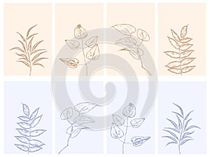 Botanical wall art. Line art of plants, drawing with abstract shape. Abstract floral design for framed wall prints,