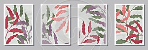 Botanical wall art posters set. Spring twigs with leaves. Willow tree
