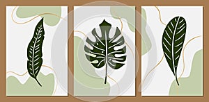 Botanical wall art vector set. Abstract Plant Art design for wall framed prints, canvas prints, posters, home decor