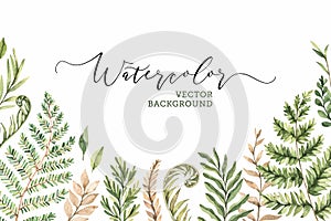 Botanical watercolor clipart. Set of Green leaves, fern, herbs and branches.Vector illustrations. Floral Design elements. Perfect