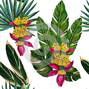 Botanical watercolor gouache illustration tropical houseplant rainforest seamless repeat patttern for textile fabric , print paper