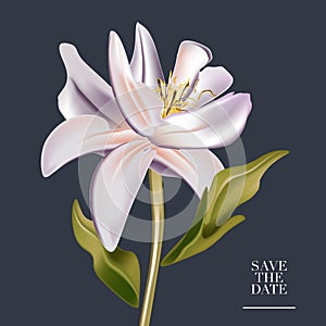 Botanical watercolor magnolia flower wedding invitation card template design, hearted shape leaves. Save the date with botanical