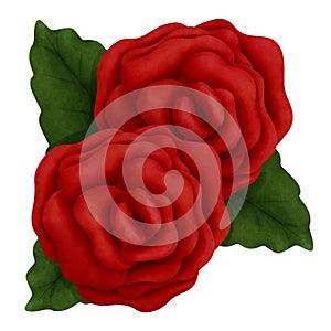 Botanical watercolor red roses with green leaves clipart.Romantic valentines day decorations