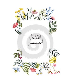 Botanical wildflower frame with hand painted summer meadow flowers, herbs, grass, leaves, isolated on white background.