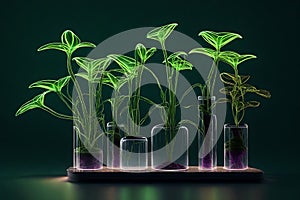 botanical wonder: luminous flask amidst lush darkness photo