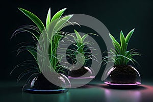 botanical wonder: luminous flask amidst lush darkness photo