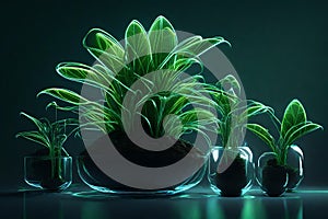 botanical wonder: luminous flask amidst lush darkness photo