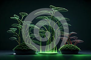 botanical wonder: luminous flask amidst lush darkness photo