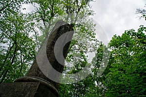 Botanical zen stone garden with water drops and rocks.