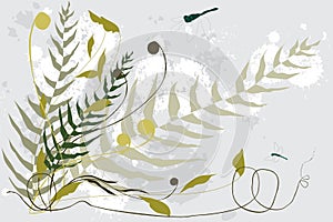 Botanicals and Dragonflies