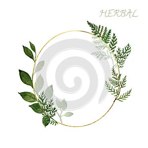 Botanics watercolor golden frame with wild herbs and green leaves on white background. Wedding invitation design template
