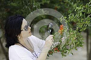 Botanist checking the growth of pomegranate flowers photo