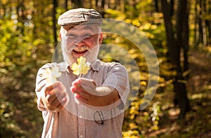 Botanist examine herbs. Curiosity to botany. Explore world around. Pensioner hiking in forest on sunny autumn day. Old