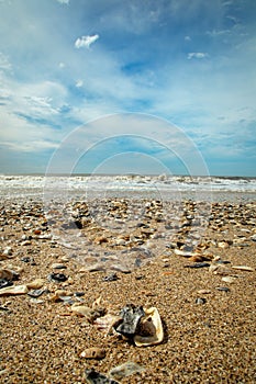 Botany Bay Beach