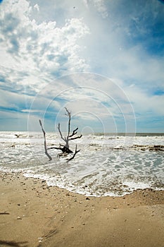 Botany Bay Beach