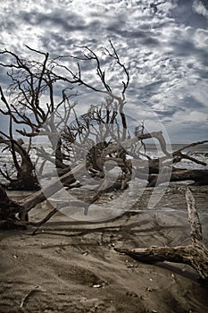 Botany Bay Beach