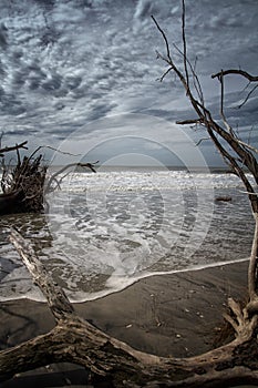 Botany Bay Beach