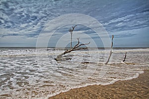 Botany Bay Beach