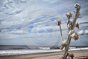 Botany Bay Beach