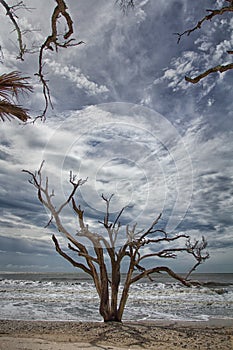 Botany Bay Beach