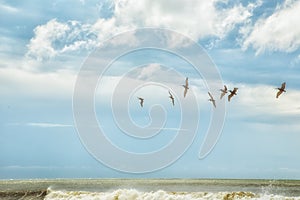 Botany Bay Beach