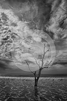 Botany Bay Beach