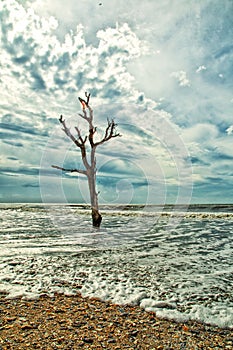 Botany Bay Beach